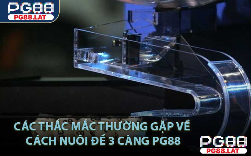 Các thắc mắc thường gặp về cách nuôi đề 3 càng PG88