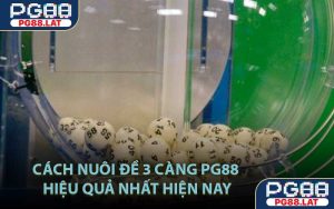 Cách nuôi đề 3 càng PG88 hiệu quả nhất hiện nay