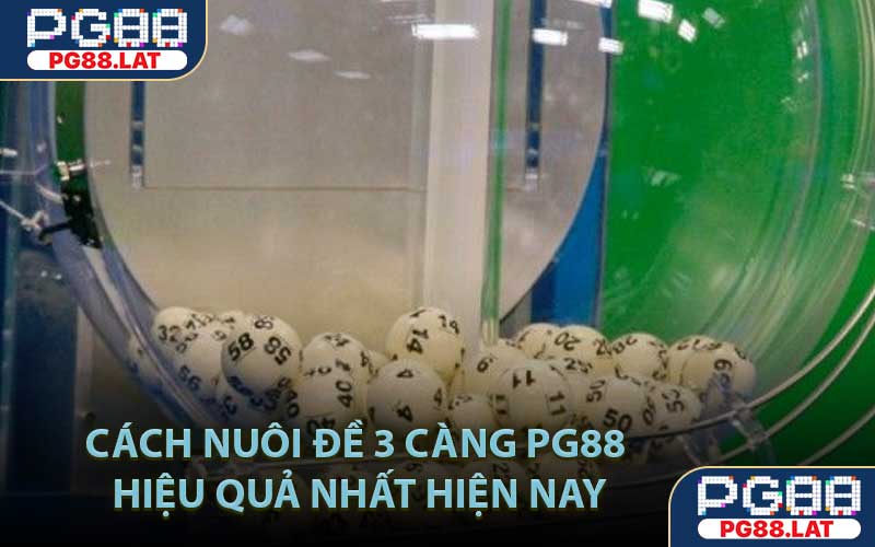 Cách nuôi đề 3 càng PG88 hiệu quả nhất hiện nay