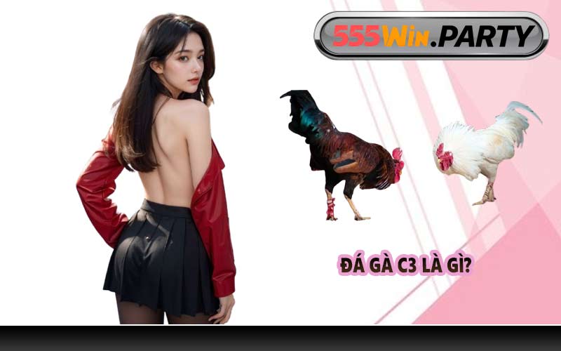 Đá gà C3 là gì?
